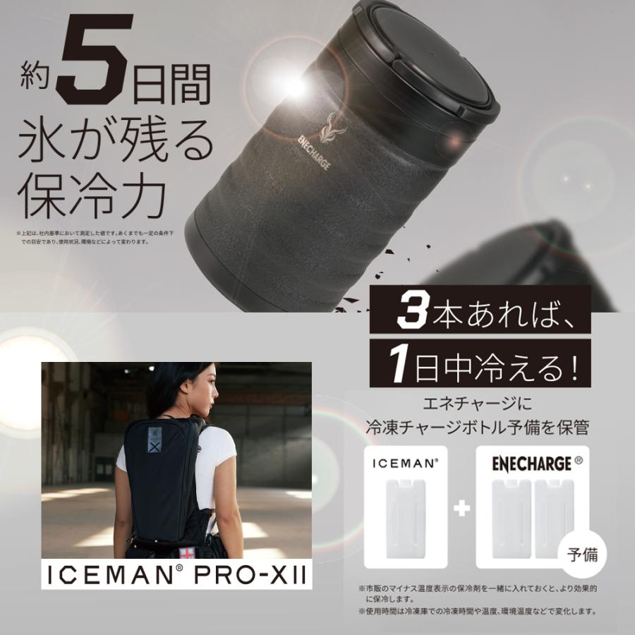 P+9％／ すぐに発送！ アイスマン エネチャージ プロ モンスター