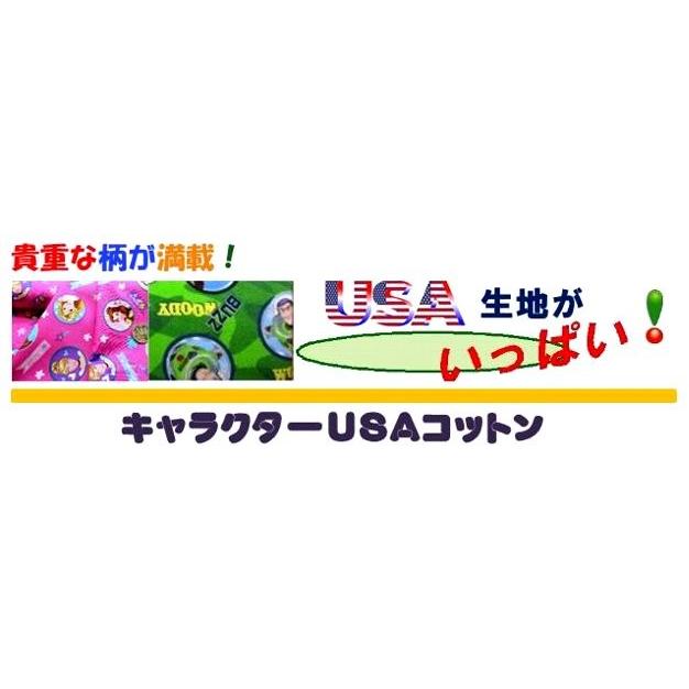 ◇ キャラクター アメリカ 輸入 生地 アラジン（ジャスミン・グリーン