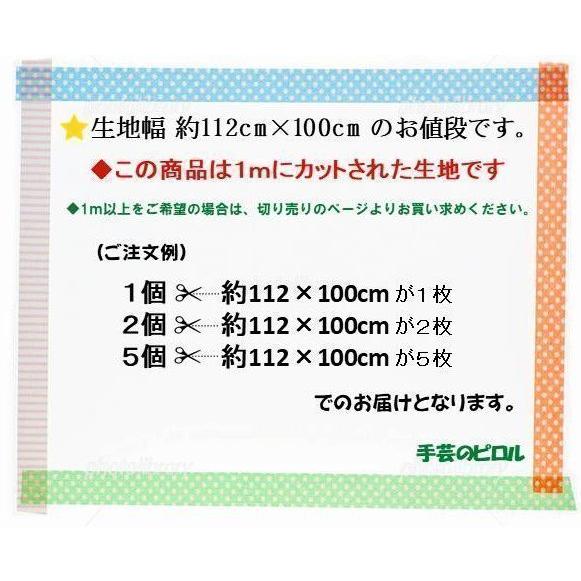 1m カットクロス 生地 ＞ 大人気！ 定番商品！カラー オックス 無地