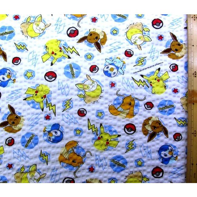 キャラクター リップル生地 サッカー生地 この柄は1ｍ50ｃｍまでメール便可能です ポケットモンスター オフホワイト系 綿100 生地幅 約108cm R G 6094 1a R 2257 手芸のピロル ヤフーshop 通販 Yahoo ショッピング
