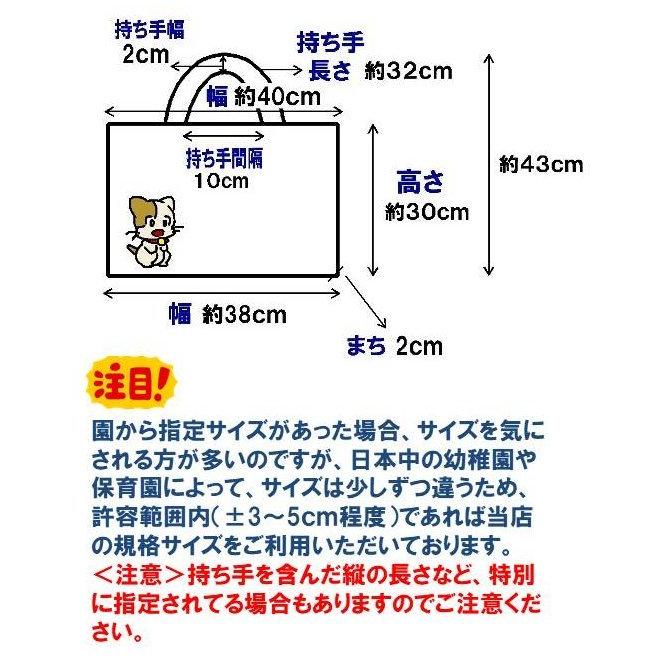 手作り レッスンバッグ スターライト ( レッスンバックかばん 絵本