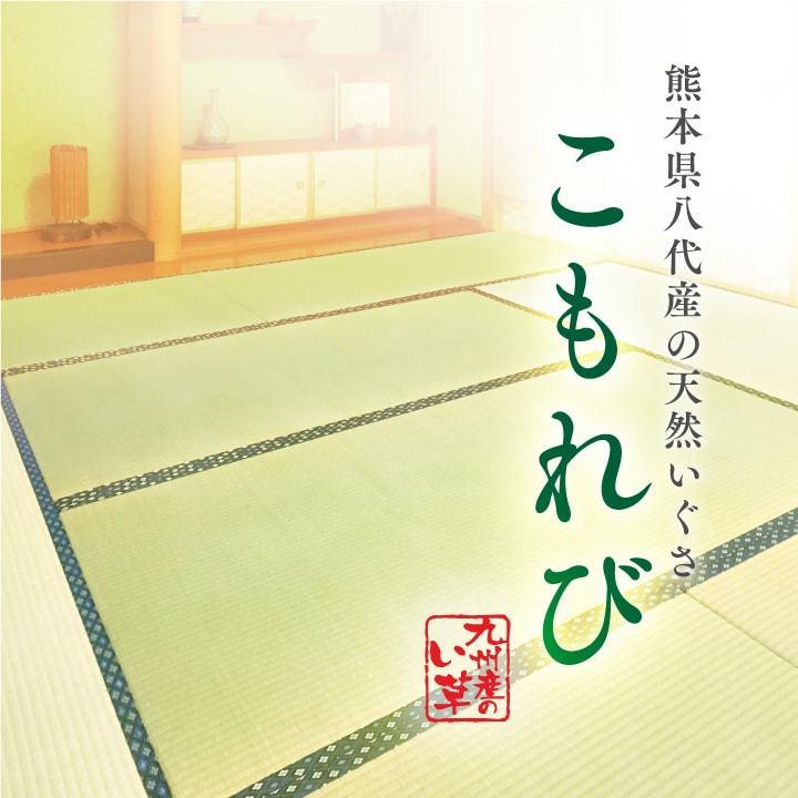 10 畳 張替え 全国対応 国産 い草 6畳 江戸間 cm 176cm こもれび 賃貸向け 国産 九州産 い草 縁あり ござ 交換 畳替え 表替え 防虫シート 畳内装のタタミズキpaypayモール店 通販 Paypayモール