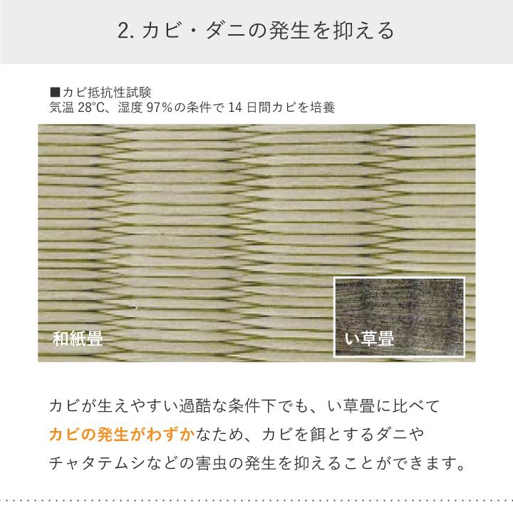 和紙畳 表替 ダイケン 江戸間 1畳単品 銀白 カラー 100a cm 176cm 国産 大建 入替 送料込 張替 縁付き 貼替 リフォーム 畳替 交換 縁あり こざ Daiken