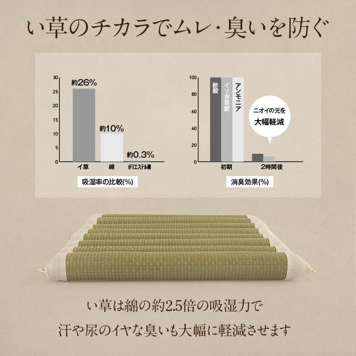 種類豊富な品揃え 座布団 40 40cm クッション 車椅子 い草 ござ お尻さらっとクッション イケヒコ 車 シートクッション 車いす 消臭 介護 看護 高齢者 イ草 井草 自然素材 Riosmauricio Com