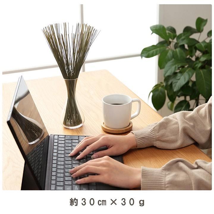 インテリア い草 フレグラス 30cm 50g 消臭剤 ディフューザー 観葉植物 オブジェ おしゃれ 雑貨 イケヒコ みらい ギフト プレゼント オーガニック イケヒコ1 000円 正規販売店