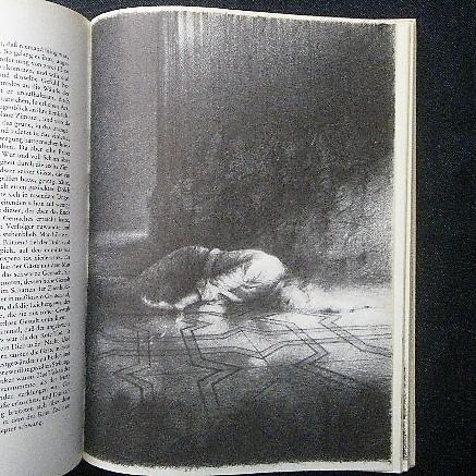ゴットフリート・ヘルンヴァイン 洋書 エドガー・アラン・ポー ゴットフリート・ヘルンヴァイン 洋書 エドガー・アラン・ポー