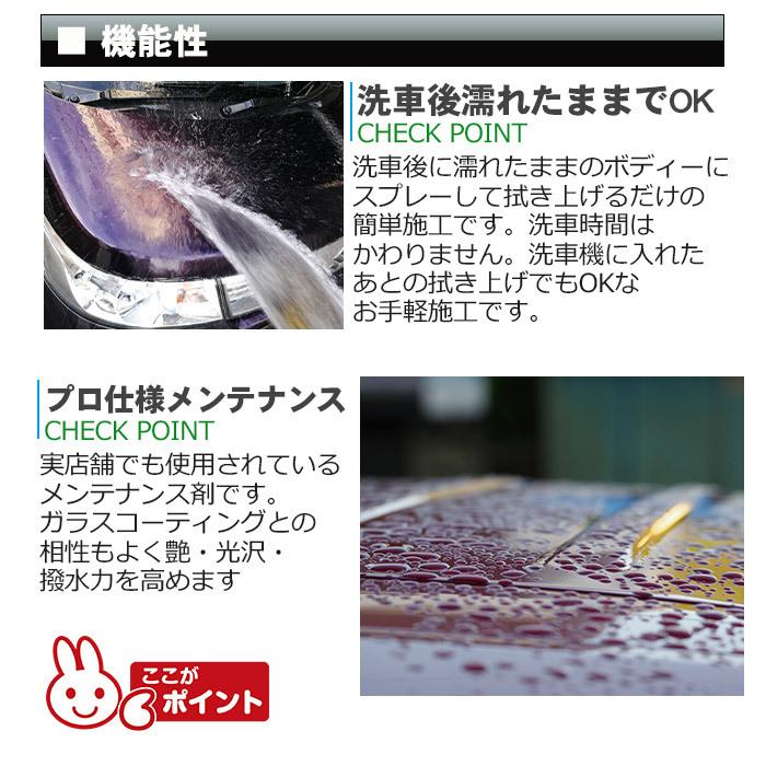 車用 濡れたまま スプレー ガラス系コーティング 超撥水 100ml 日本製 プロ仕様 コーティング剤 メンテナンス 艶 撥水 洗車 ガラス撥水 洗車用品 洗車グッズ Co030 ピットライフf Cヤフー店 通販 Yahoo ショッピング