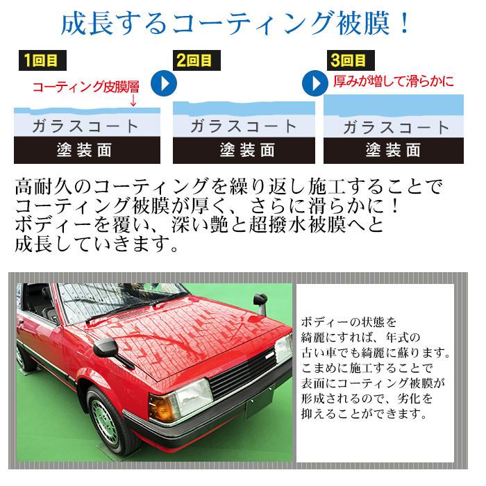 車用 濡れたまま スプレー ガラス系コーティング 超撥水 100ml 日本製 プロ仕様 コーティング剤 メンテナンス 艶 撥水 洗車 ガラス撥水 洗車用品 洗車グッズ Co030 ピットライフf Cヤフー店 通販 Yahoo ショッピング
