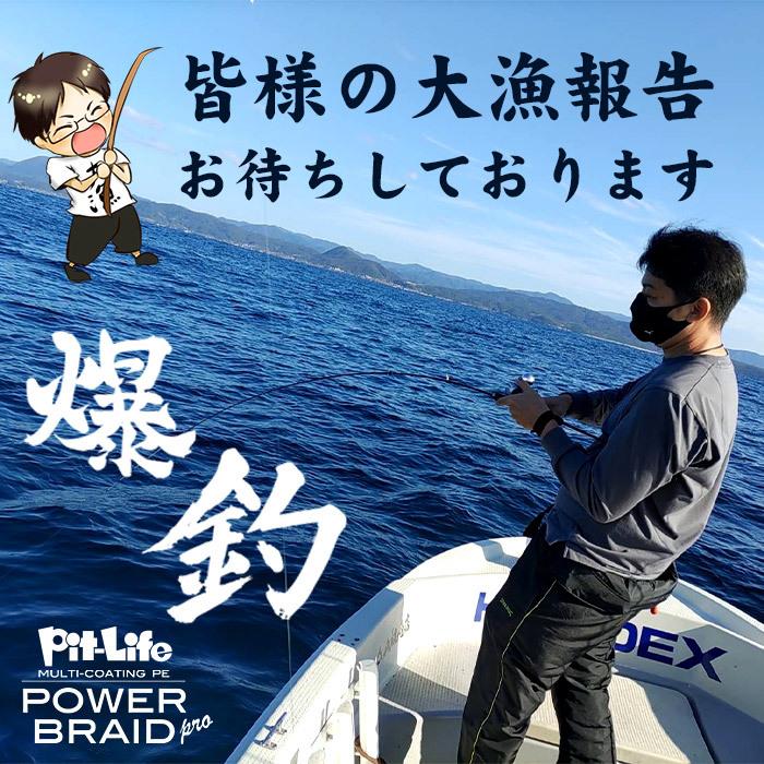 Pit-Life（ピットライフ） PEライン 釣り糸 100m 4本編み 日本製