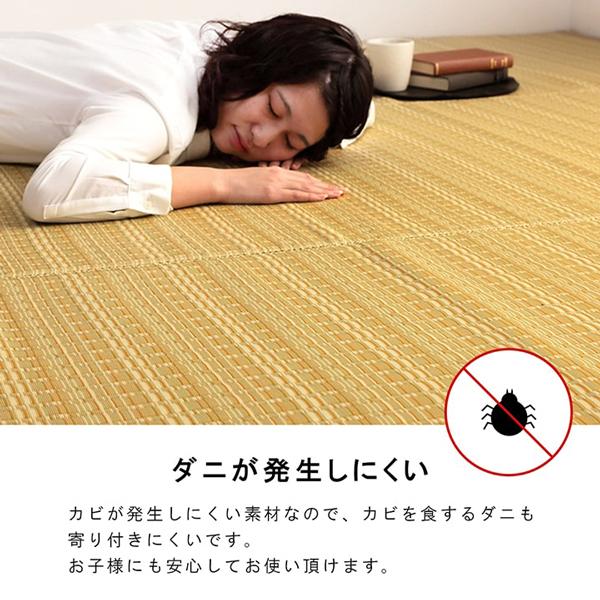 ラグ い草風 洗える 夏ラグ カーペット 6畳 上敷き PP ラグ ござ おしゃれ ダイニングラグ 日本製 和風 撥水 いぐさ風 団地間6畳 約255×340cm_5