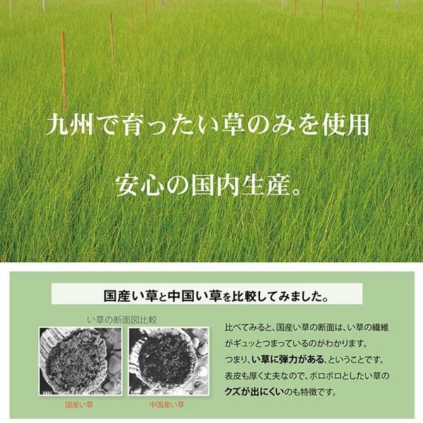 ベビーシーツ ごろ寝シーツ お昼寝シーツ 日本製 国産 星柄 スター い草シーツ い草 イ草 井草 子供 保育園 お昼寝 いぐさ 抗菌 防臭 約70×120cm｜pitadeko-3｜05