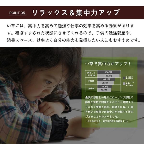 い草 上敷き 3畳 ラグ カーペット おしゃれ 日本製 ござ 国産 いぐさ 双目織 撥水 九州産 敷き ゴザ 和 江戸間 3畳 約176×261cm | ブランド登録なし | 12