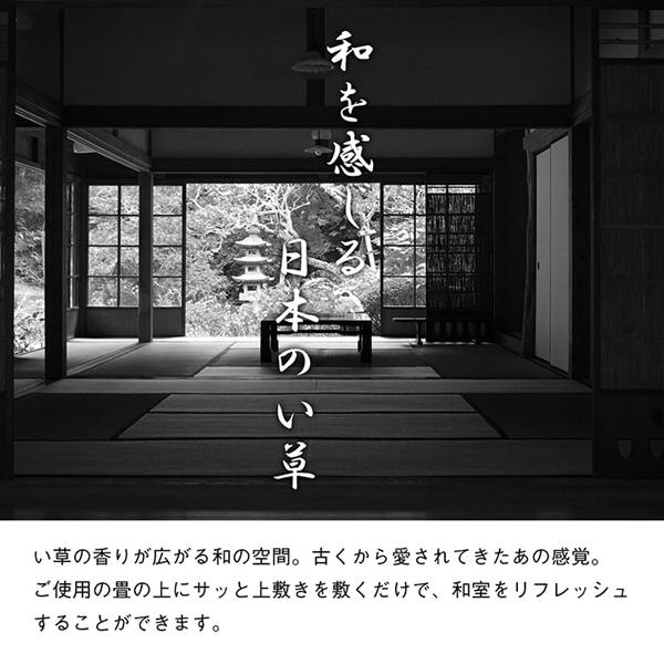 い草 上敷き 3畳 ラグ カーペット おしゃれ 日本製 ござ 国産 いぐさ 双目織 撥水 九州産 敷き ゴザ 和 江戸間 3畳 約176×261cm | ブランド登録なし | 03