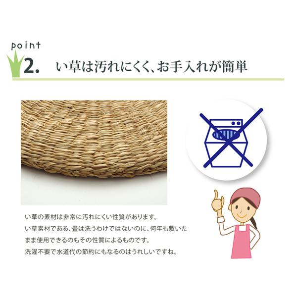 クッション シート おしゃれ いぐさ シーグラス 円形 い草 座布団