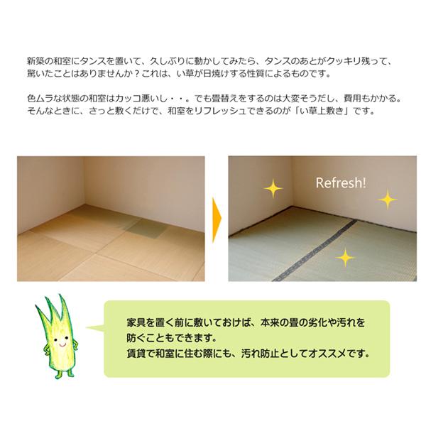 い草 上敷き 2畳 ラグ カーペット 日本製 ござ 国産 おしゃれ いぐさ 糸引織 丈夫 耐久性あり 江戸間 2畳 約176&times;176cm