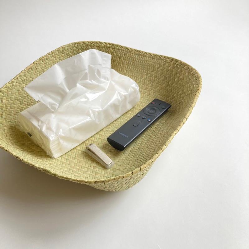 収納 かご ボックス バスケット 水草フルナ 四角 約W22xD22cm(底