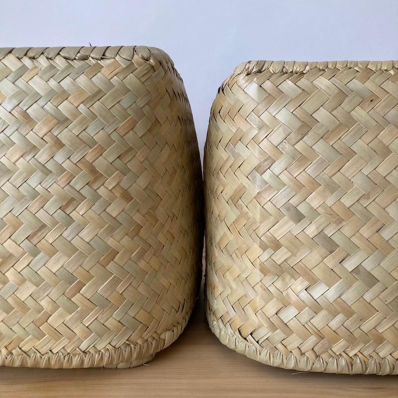 収納 かご ボックス バスケット 水草リンダ フタつき Sサイズ 約