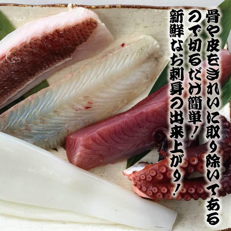 鮮魚ボックス 鮮魚セット 鮮魚 刺身用 直送 詰め合わせ 下処理 2〜3