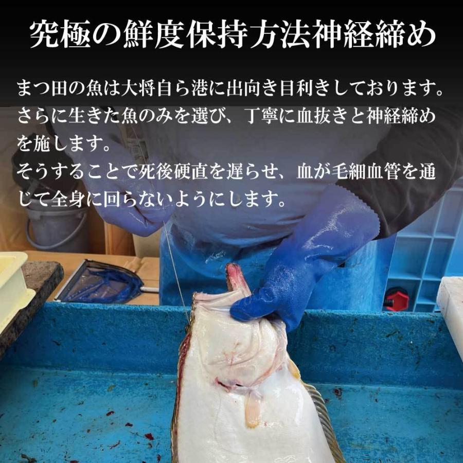 鮮魚ボックス 鮮魚セット 鮮魚 刺身用 直送 詰め合わせ 下処理 2〜3