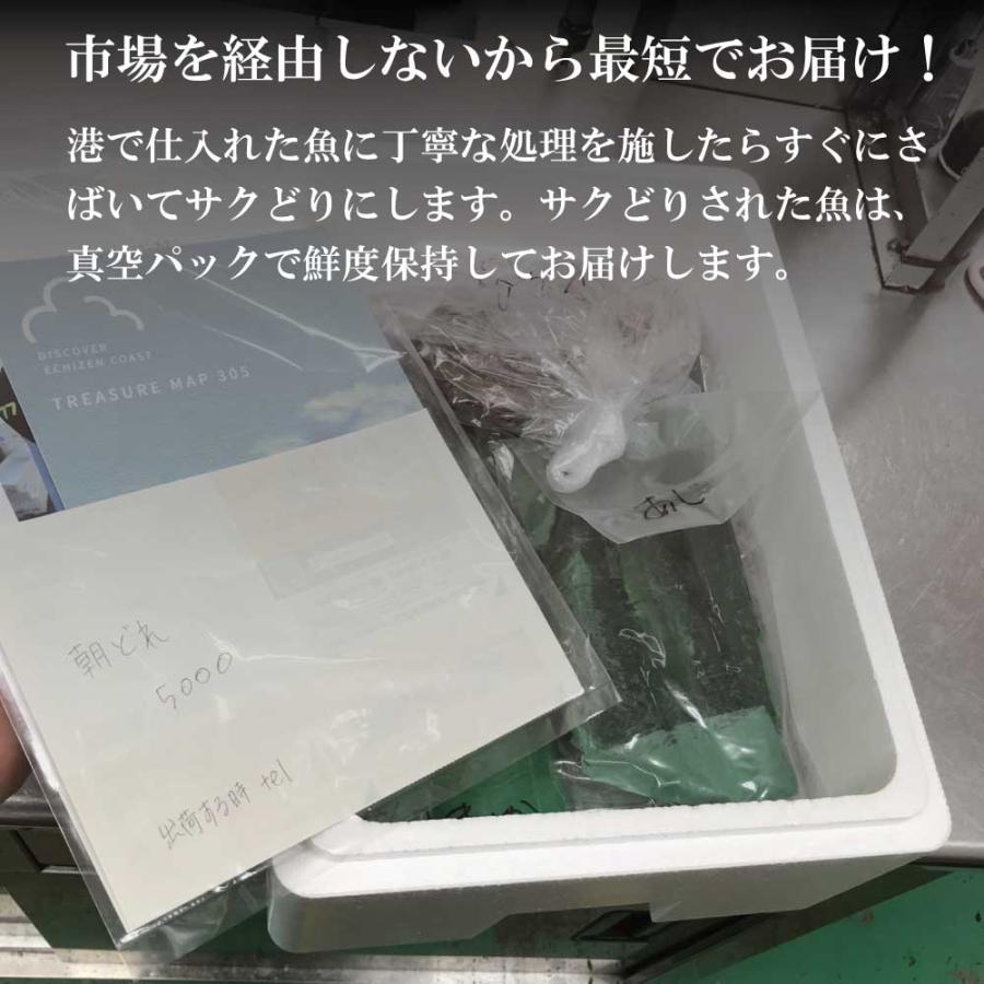 本物新品保証】 鮮魚ボックス 鮮魚セット 鮮魚 刺身用 直送 詰め合わせ 下処理 2〜3人前 3種以上 越前産 福井県産 朝どれ サクどり 敬老の日 ギフト www.hotelpr.co.uk 本物新品保証】 鮮魚ボックス 鮮魚セット 鮮魚 刺身用 直送 詰め合わせ 下処理 2〜3人前 3種以上 越前産 福井県産 朝どれ サクどり 敬老の日 ギフト www.hotelpr.co.uk