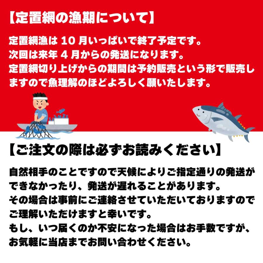 鮮魚ボックス 鮮魚セット 鮮魚 刺身用 直送 詰め合わせ 下処理 2〜3人前 3種以上 越前産 福井県産 朝どれ サクどり