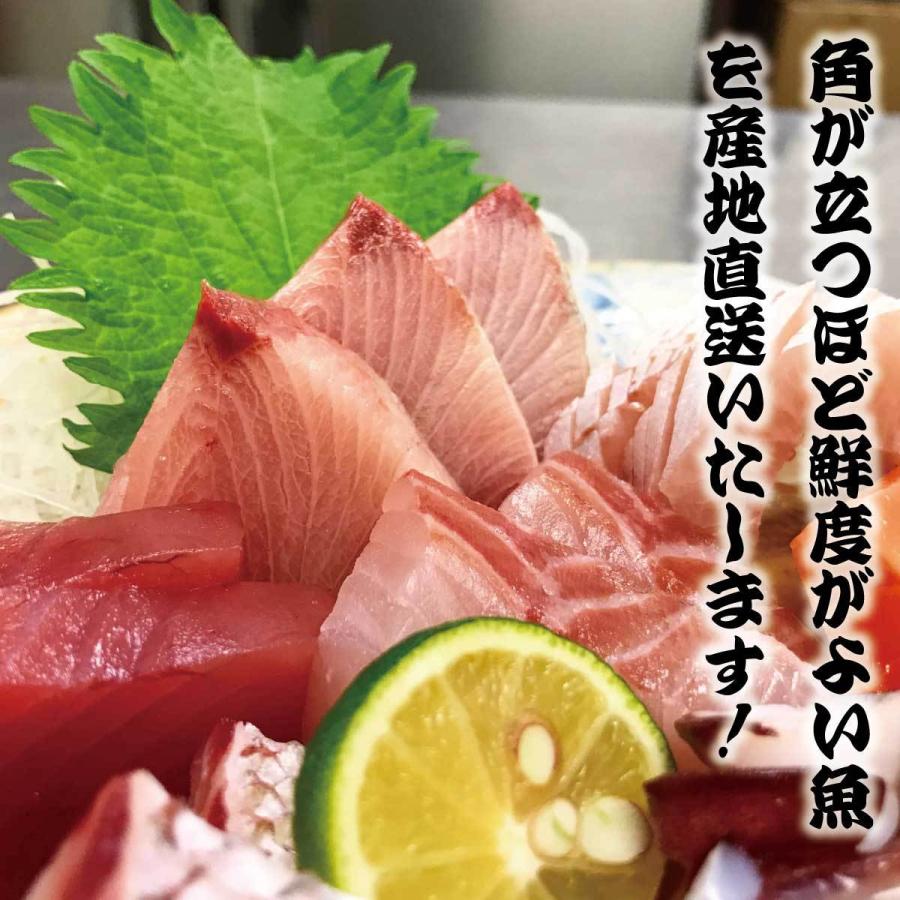 鮮魚ボックス 鮮魚セット 鮮魚 刺身用 直送 詰め合わせ 下処理 2〜3