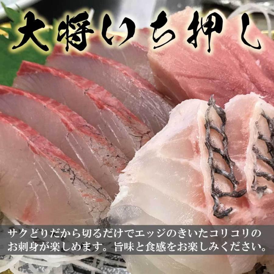 鮮魚ボックス 鮮魚セット 鮮魚 刺身用 直送 詰め合わせ 下処理 2〜3