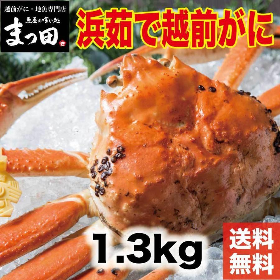茹で越前がに 1 3kg 1パイ 冷蔵 便 越前ガニ かに カニ 蟹 ズワ イ ズワイガニ お取り寄せ 福井 かに カニ 蟹 Ek006 魚屋の喰い処まつ田 通販 Yahoo ショッピング