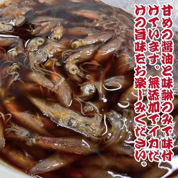大特価放出 グルメ ギフト ほたるいか 漁師漬け 0ｇ2パック ホタルイカ 醤油漬け Trademarketingforce Com Br