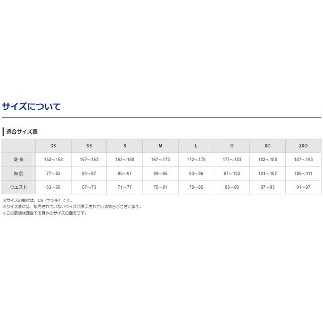 ミズノ MIZUNO  GACHIユニフォームパンツ  練習着  野球 ウェア ユニフォームパンツ スペアパンツ  22SS(12JD2F)｜pitsports｜07