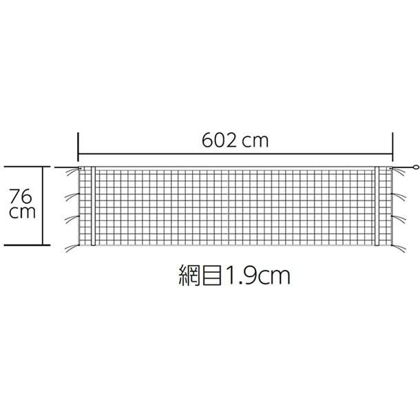 バドミントンネット(ケン) トーエイライト バドミントネット (b5987)｜pitsports｜02