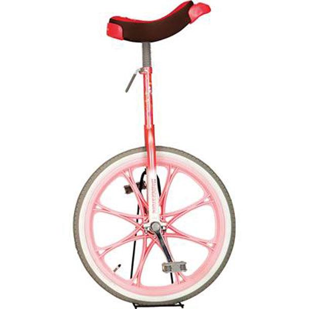 パネル ニューアートフレーム ナチュラル エバニュー Evernew 一輪車 (エアタイヤ)20 2A ピンク EKD344-120 学校器機 一輪車 エバニュー 一輪車ラック片面式 7台掛 EKD118