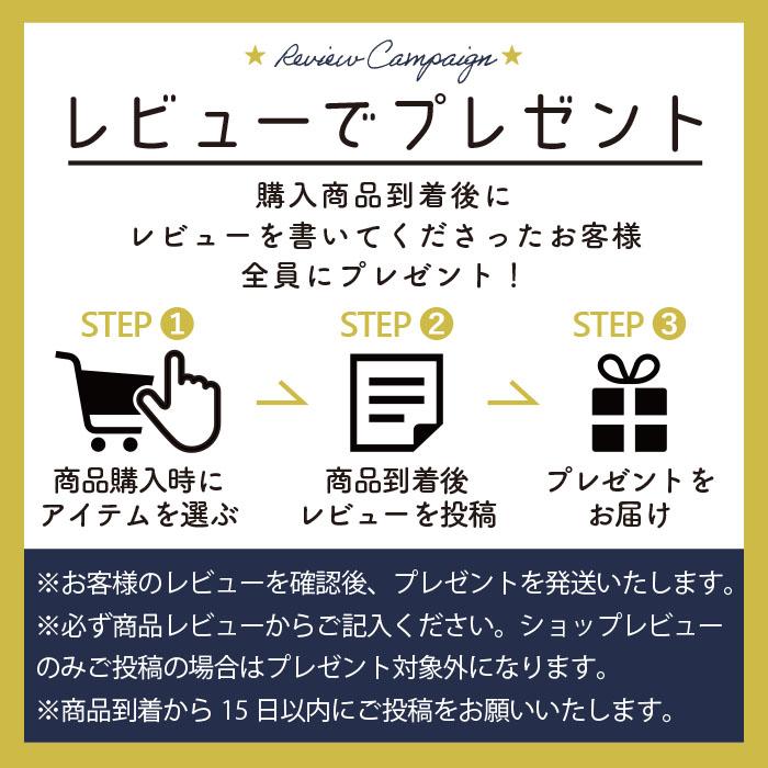 予約期間中ポイントアップ！】ソファベッド セミシングル すのこ