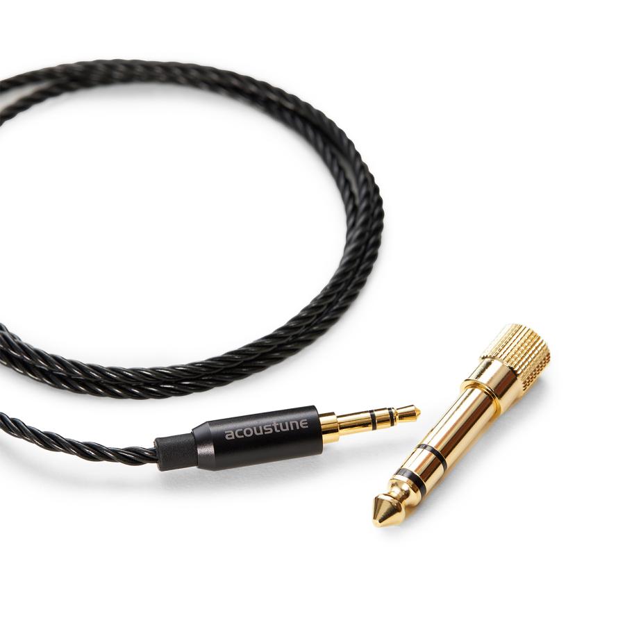 Acoustune Acosutune RS THREE Aiiro 有線イヤホン イヤモニ