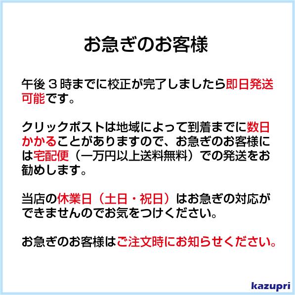 名刺 印刷 名刺 作成 100枚 送料無料 ビジネス名刺 特急仕上  激安 縦 校正あり カラー印刷  c-t-2｜pixel1｜09