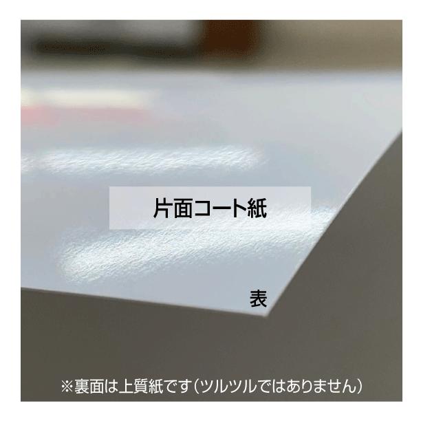 リピート注文 名刺印刷 作成 再注文 カラー100枚 送料無料 文字修正可能 | ブランド登録なし | 02
