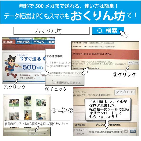 スタンプカード 花柄イラスト ポイントカード 印刷 送料無料 100枚 きれいなデザイン S 53 S 53 カズプリ 通販 Yahoo ショッピング