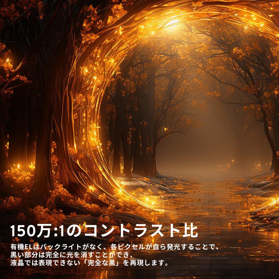 Pixio PX277OLEDMAXV2 ゲーミングモニター 27インチ 有機EL 240hz モニター WQHD新品 ゲーマー向け pcモニター ディスプレイ Pixio ピクシオ 公式【2年保証】 | Pixio | 04