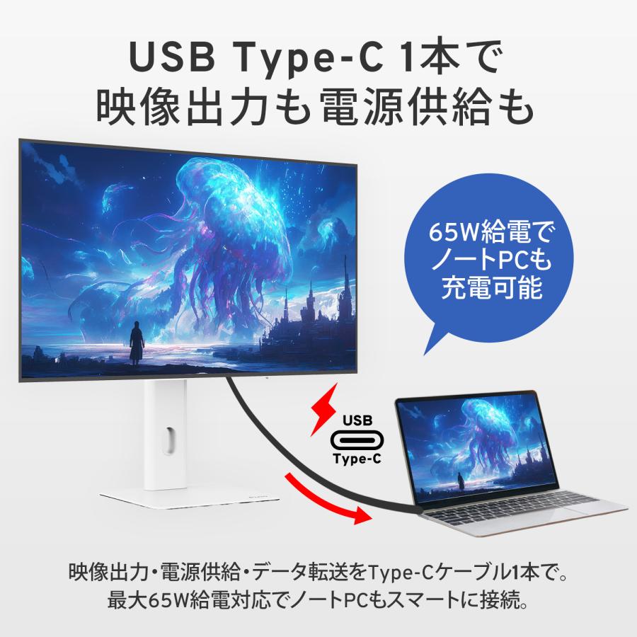 Pixio PX277OLEDMAXV2 ゲーミングモニター 27インチ 有機EL 240hz モニター WQHD新品 ゲーマー向け pcモニター ディスプレイ Pixio ピクシオ 公式【2年保証】 | Pixio | 06