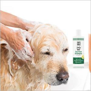 APDC ティーツリーシャンプー 250ml 犬用 植物由来 お手入れ たかくら