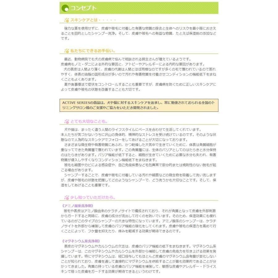 ACTIVE SKIN CARE SERIES 洗い流さない トリートメントステア 1L