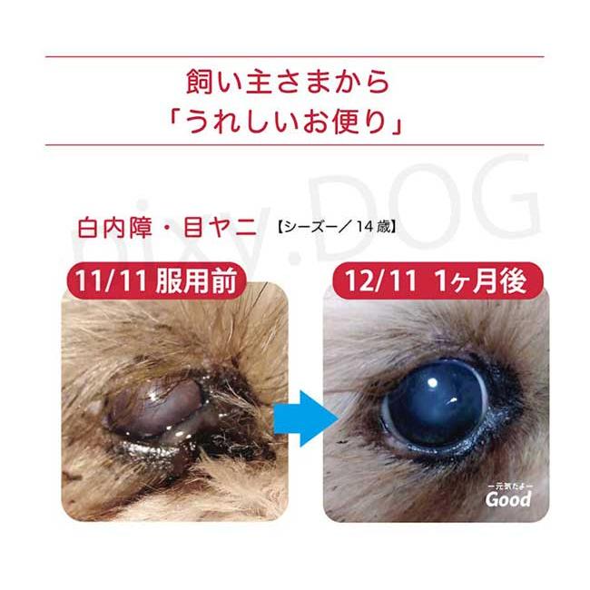 ネコポス発送可】【正規品】【約1.4倍増量】NMNわんにゃんサプリ ネコポス発送可】【正規品】【約1.4倍増量】NMNわんにゃんサプリ