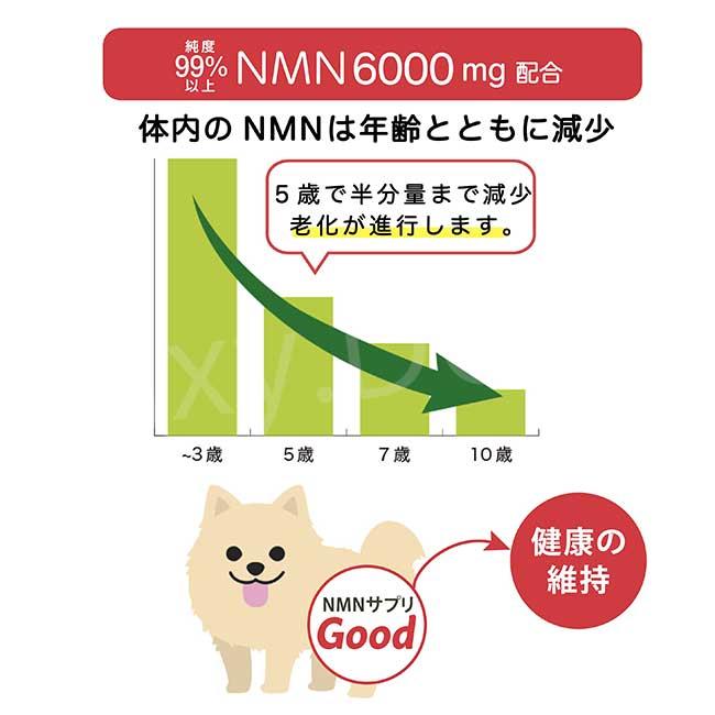 猫　犬　サプリ 楽天市場】【最大333円割引☆楽天1位月間優良店受賞ｸｰﾎﾟﾝ配布中