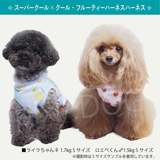ネコポス発送可】犬服 クークチュール 2025 スーパークール×クール 