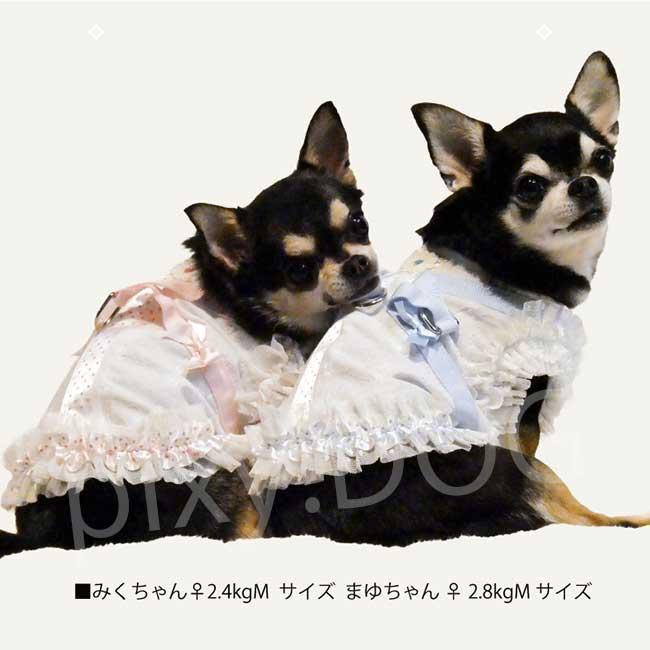 ネコポス発送可】犬服 クークチュール 2026 スーパークール×クール