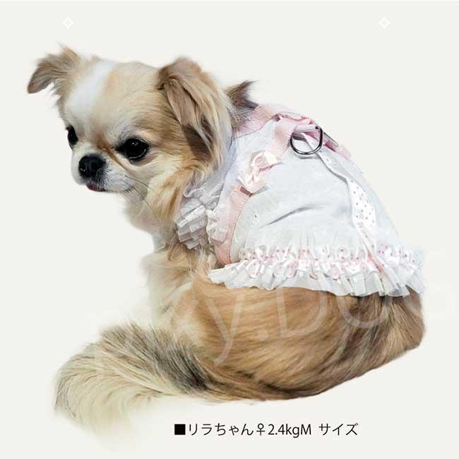 ネコポス発送可】犬服 クークチュール 2026 スーパークール×クール