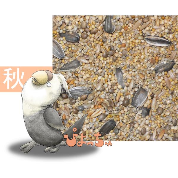 オカメインコ秋用ブレンド　500g×2｜piyocyu-ash｜01