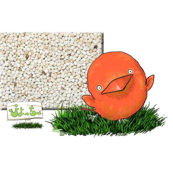 白エゴマ　15kｇ | 