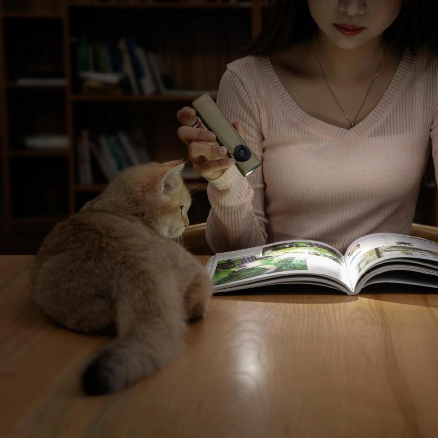 OLIGHT ハンディライト 充電式 led オーライト olight Arkfeld