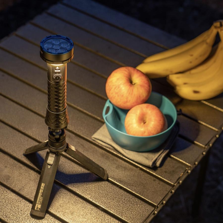 OLIGHT 懐中電灯 LED 強力 充電式 オーライト Prowess Olight